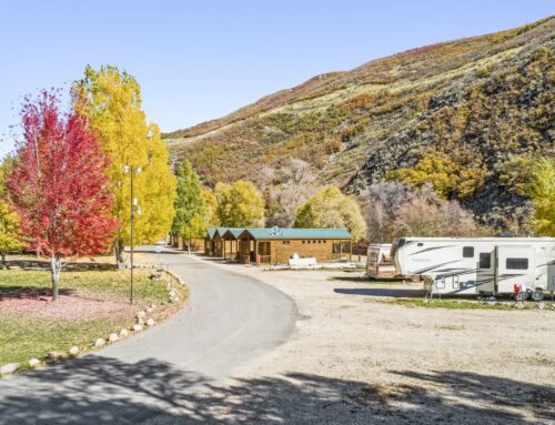 Exploring Our Unique Accommodations: Cabins, Yurts, and RV Sites